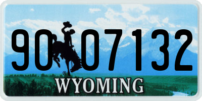 WY license plate 9007132