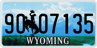WY license plate 9007135