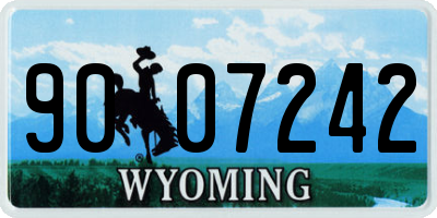 WY license plate 9007242