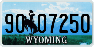 WY license plate 9007250