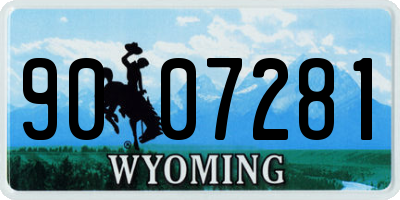 WY license plate 9007281