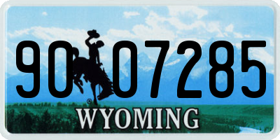 WY license plate 9007285