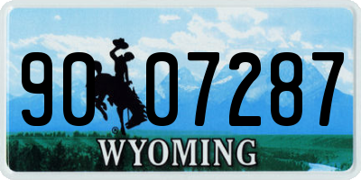 WY license plate 9007287