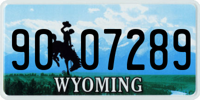WY license plate 9007289