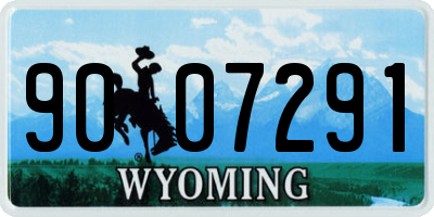 WY license plate 9007291