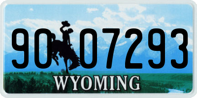 WY license plate 9007293
