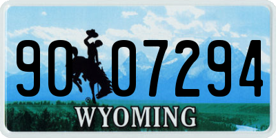 WY license plate 9007294