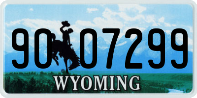 WY license plate 9007299