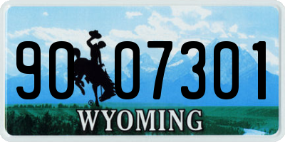 WY license plate 9007301