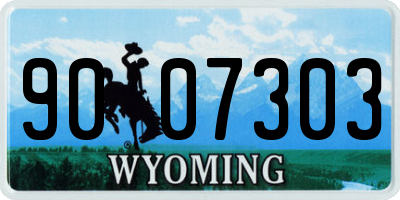 WY license plate 9007303