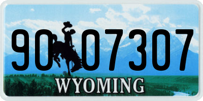 WY license plate 9007307