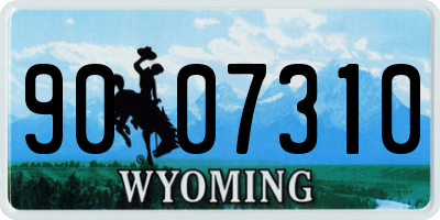 WY license plate 9007310