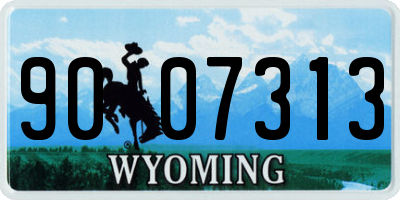 WY license plate 9007313