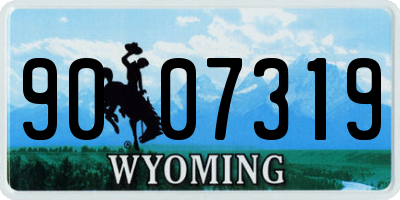 WY license plate 9007319