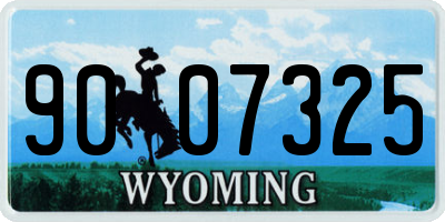 WY license plate 9007325