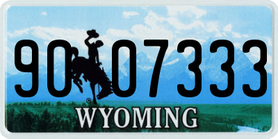 WY license plate 9007333