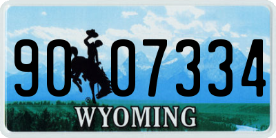 WY license plate 9007334