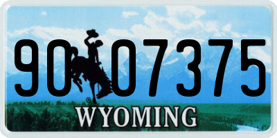 WY license plate 9007375