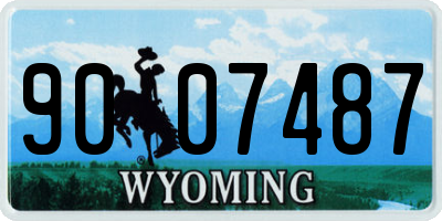 WY license plate 9007487