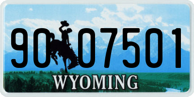 WY license plate 9007501