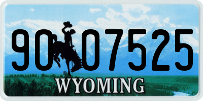 WY license plate 9007525