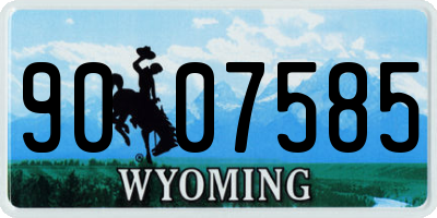 WY license plate 9007585