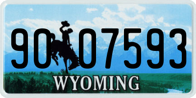 WY license plate 9007593
