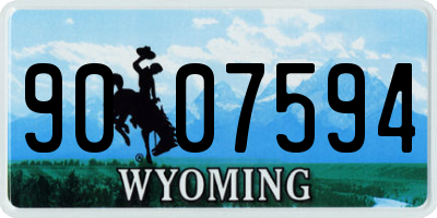 WY license plate 9007594