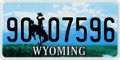 WY license plate 9007596