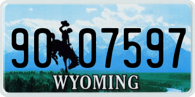 WY license plate 9007597