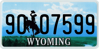 WY license plate 9007599