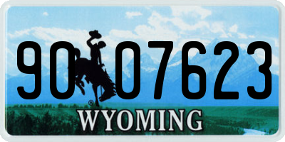 WY license plate 9007623