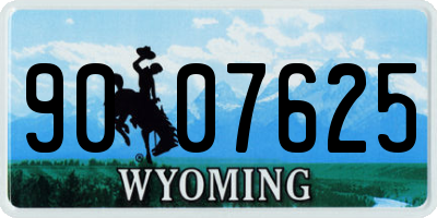 WY license plate 9007625