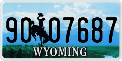 WY license plate 9007687