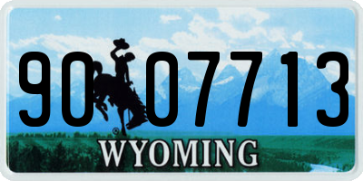WY license plate 9007713