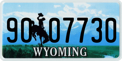 WY license plate 9007730
