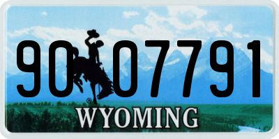 WY license plate 9007791