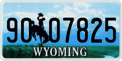 WY license plate 9007825