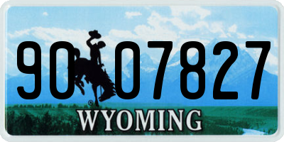 WY license plate 9007827