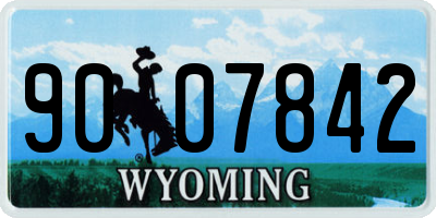 WY license plate 9007842