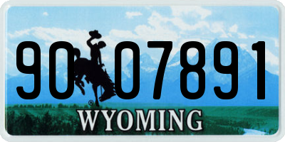 WY license plate 9007891