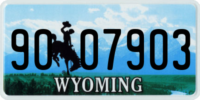 WY license plate 9007903