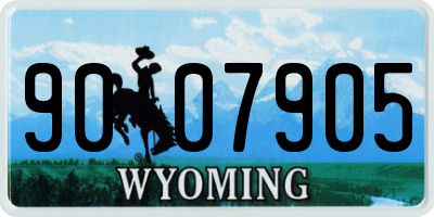 WY license plate 9007905