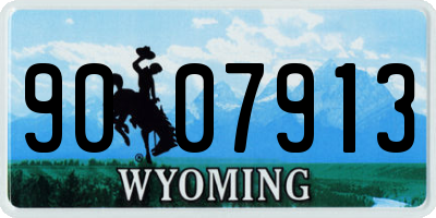WY license plate 9007913