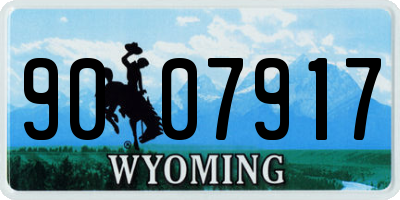 WY license plate 9007917
