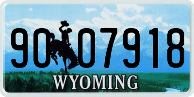 WY license plate 9007918