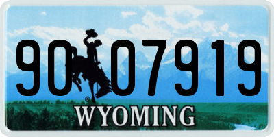 WY license plate 9007919