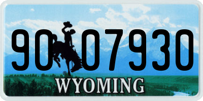 WY license plate 9007930