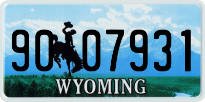 WY license plate 9007931