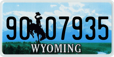 WY license plate 9007935